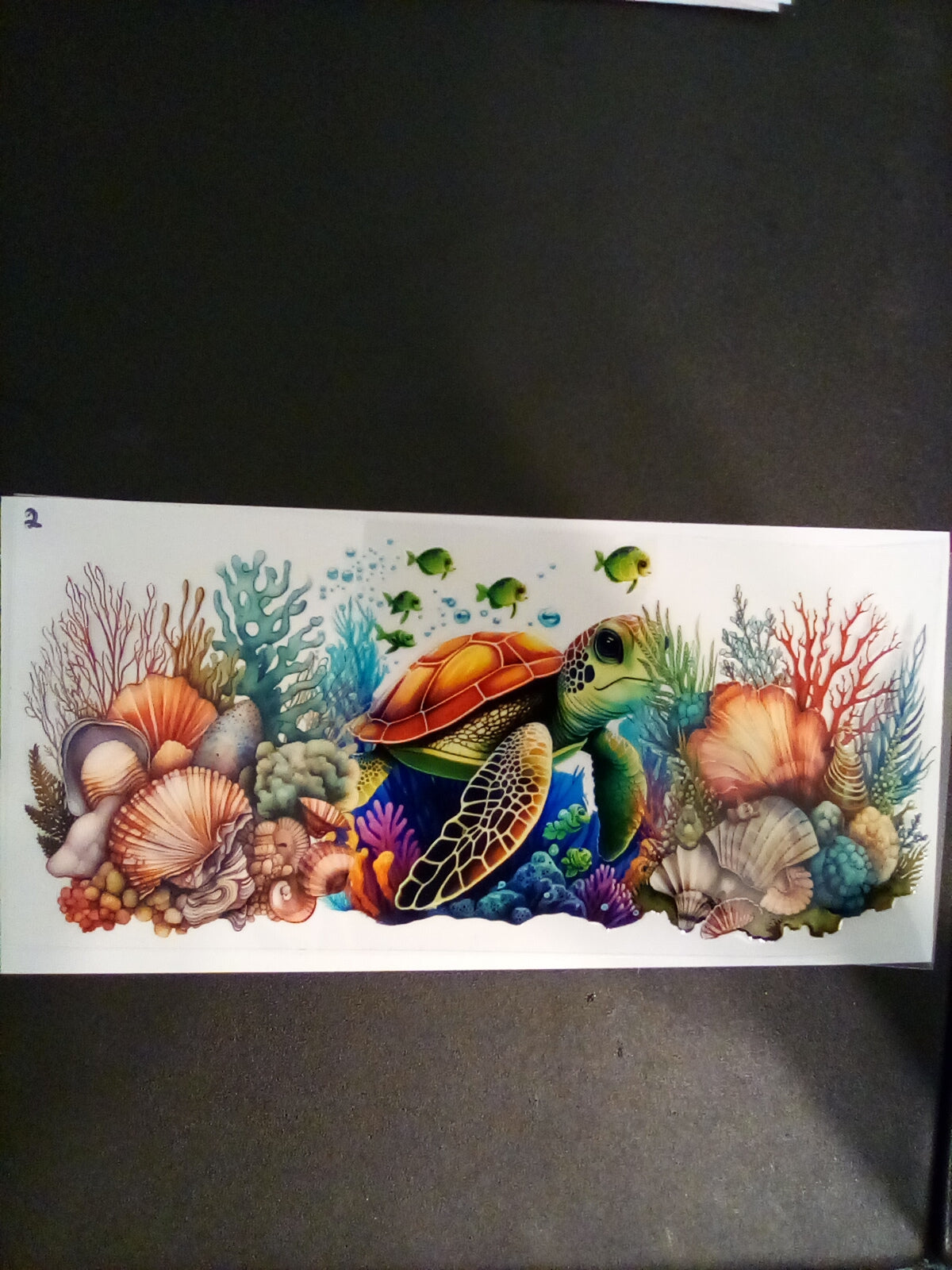 Wraps-Turtles