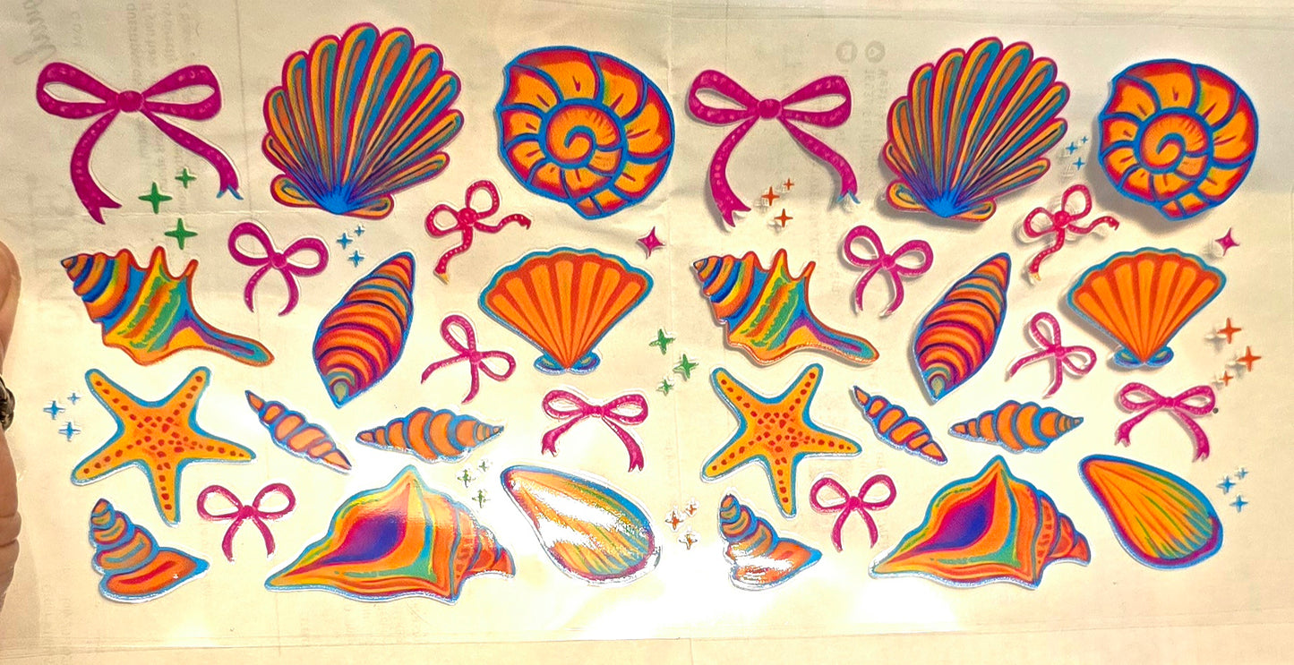 Colorful seashells