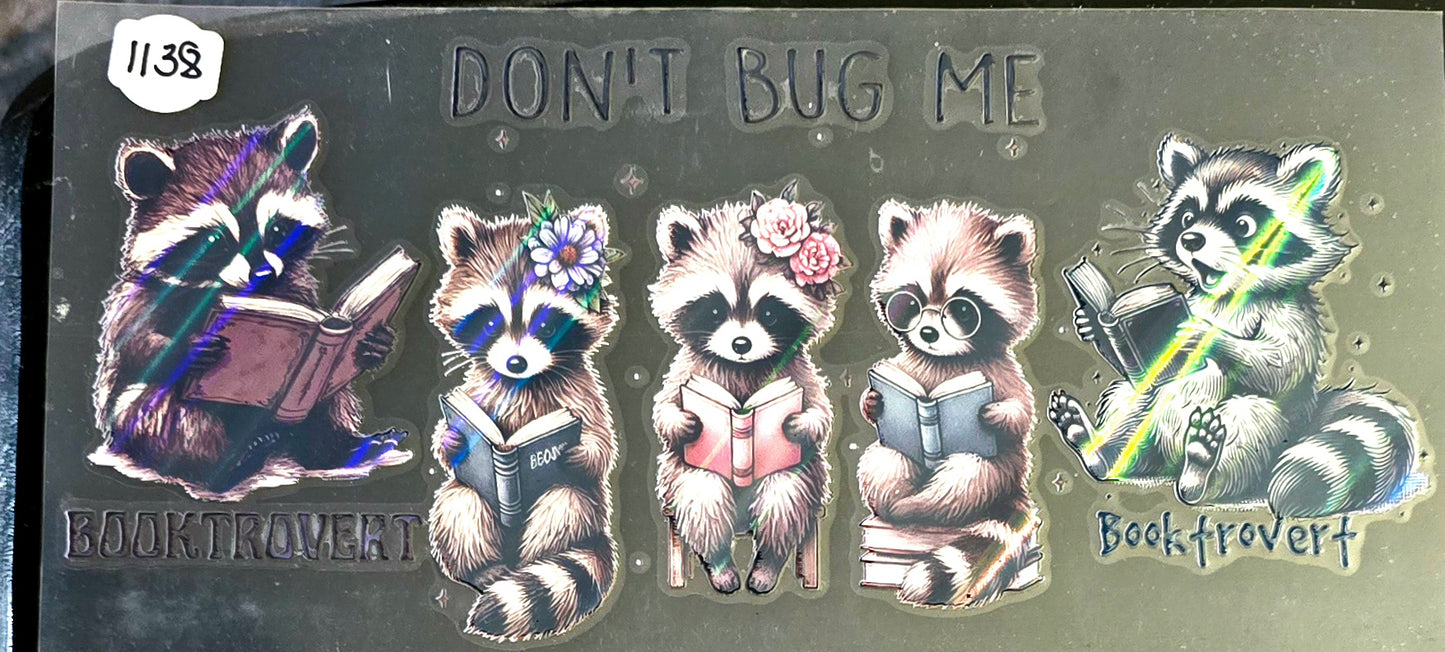 #1138 Don't bug me Racoons