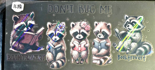#1138 Don't bug me Racoons