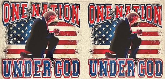 #145. One Nation