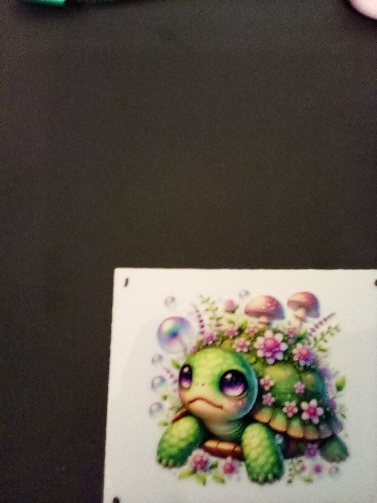 Baby Turtle Decals