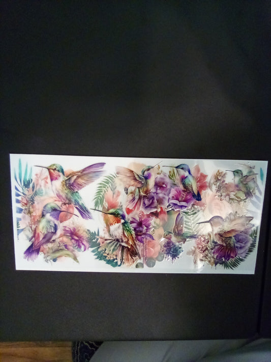 Hummingbirds. Flamingo