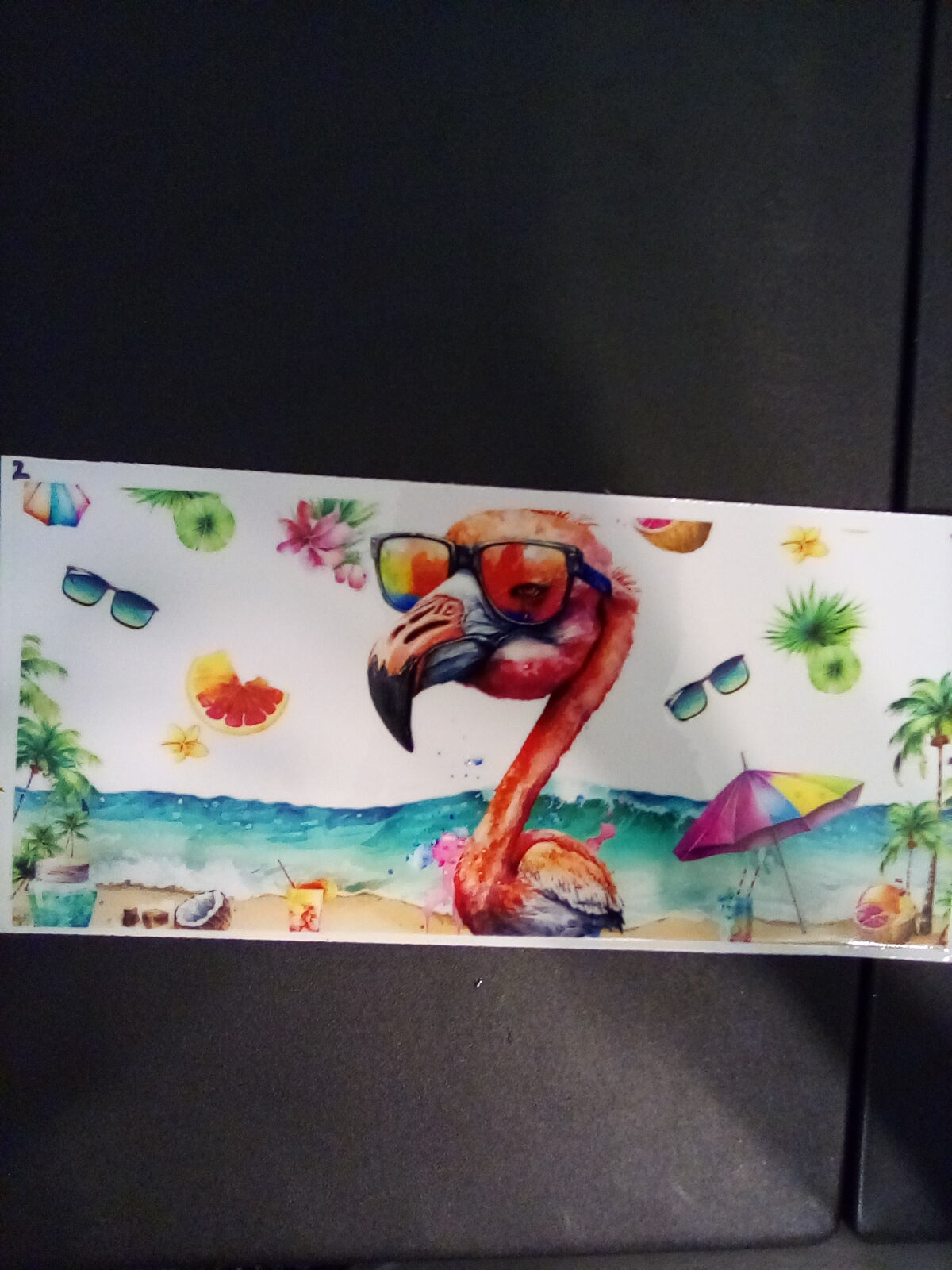 Hummingbirds. Flamingo