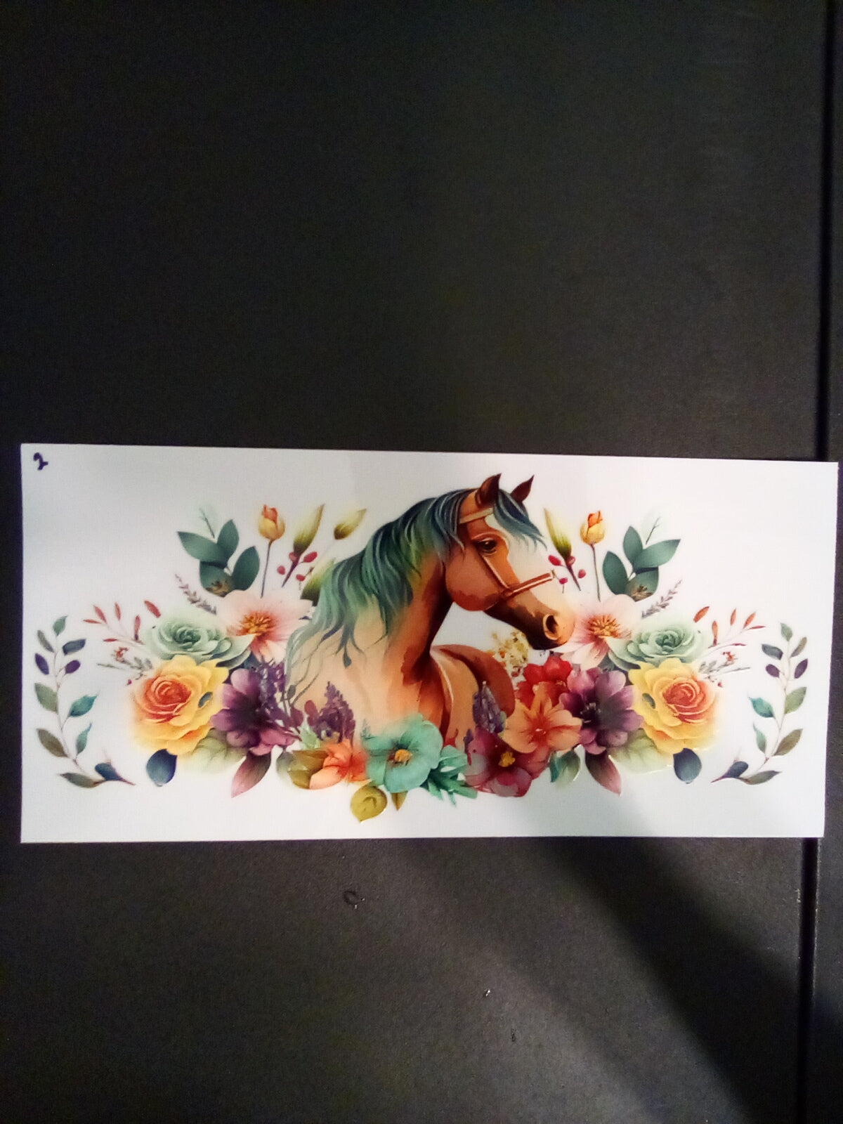 Assorted Animals Wraps