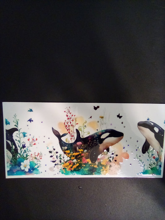 Whales/ Dolphins