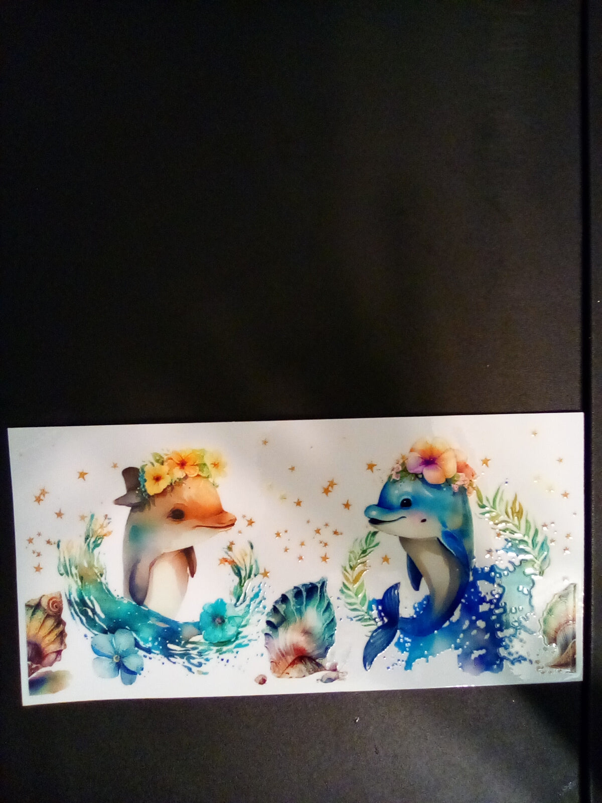 Whales/ Dolphins