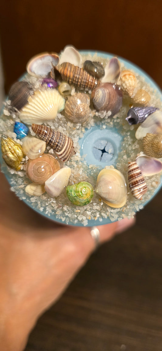 *SOLD* Turtle Sand Cup
