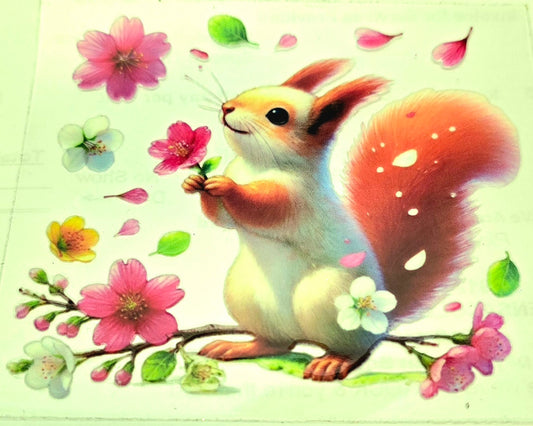 Squirrel Decal