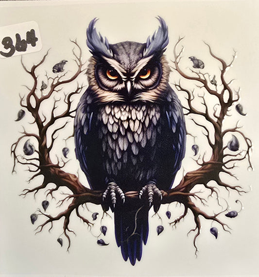 #364
