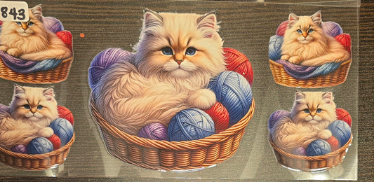 #843 Persian in a basket with yarn
