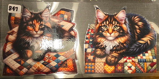 #847 Tabby kittens