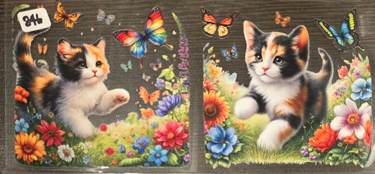 #846 Calico kittens
