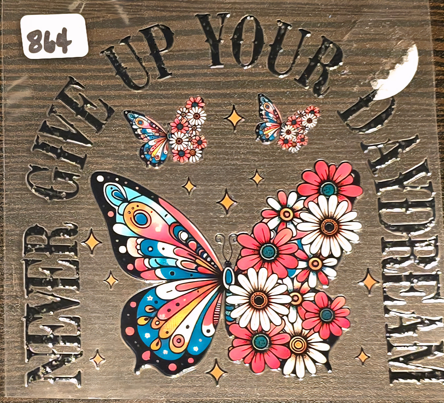 #864 Never Give Up Your Daydream