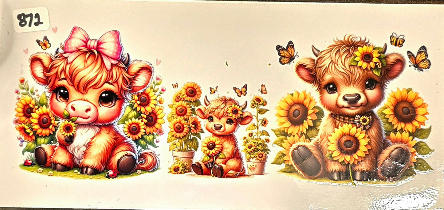 #872 Baby Highland Cows and Butterflies