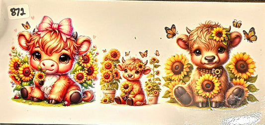 #872 Baby Highland Cows and Butterflies