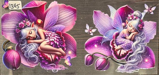 #1345 Fairies sleeping in flower