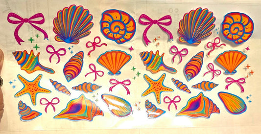 Colorful seashells
