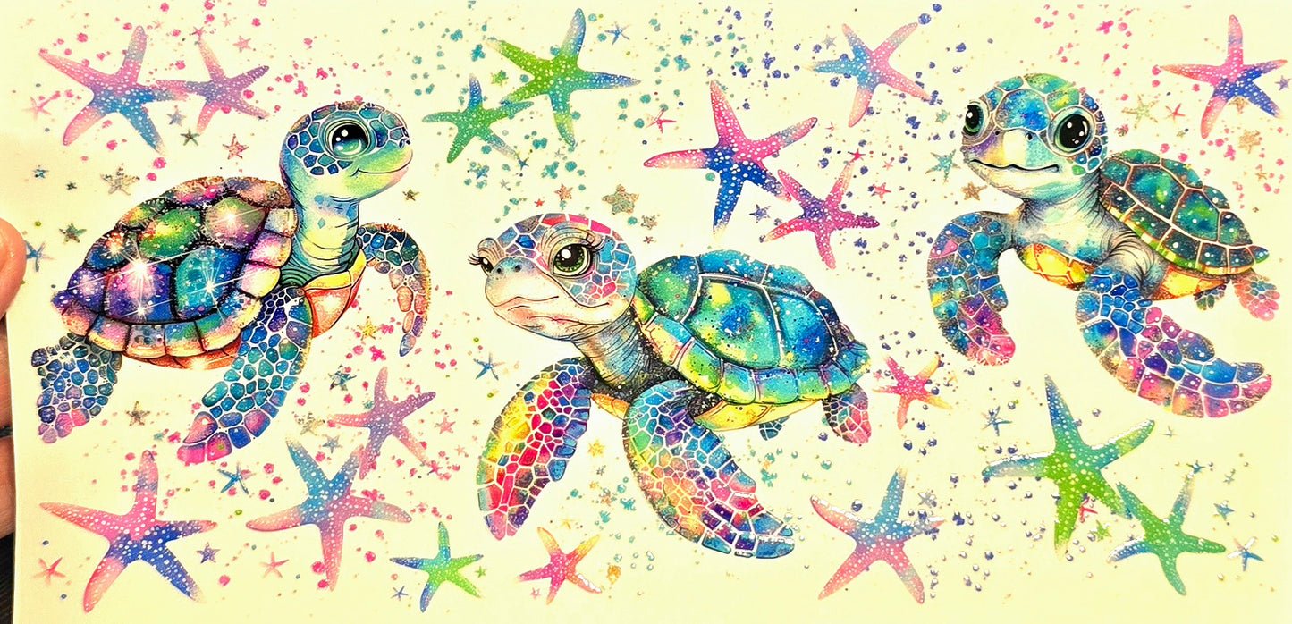 Turtles and starfish